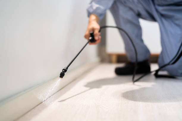 Licensed Fumigation Services service in Arlington, TN - Nex Pest Control